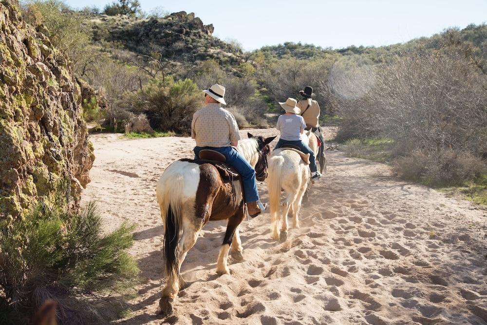 Rancho De Los Caballeros Wickenburg Exteriör bild