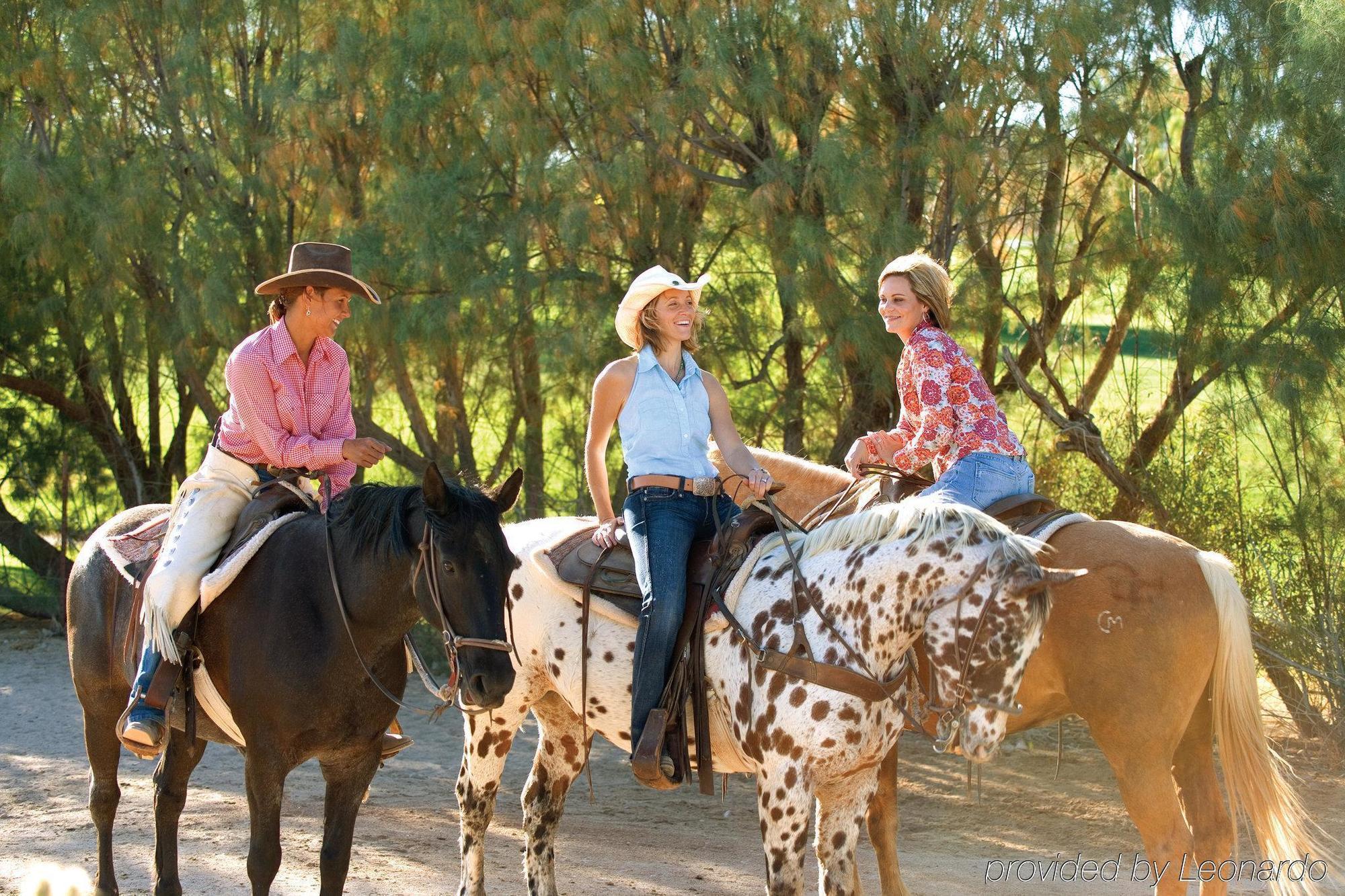 Rancho De Los Caballeros Wickenburg Exteriör bild