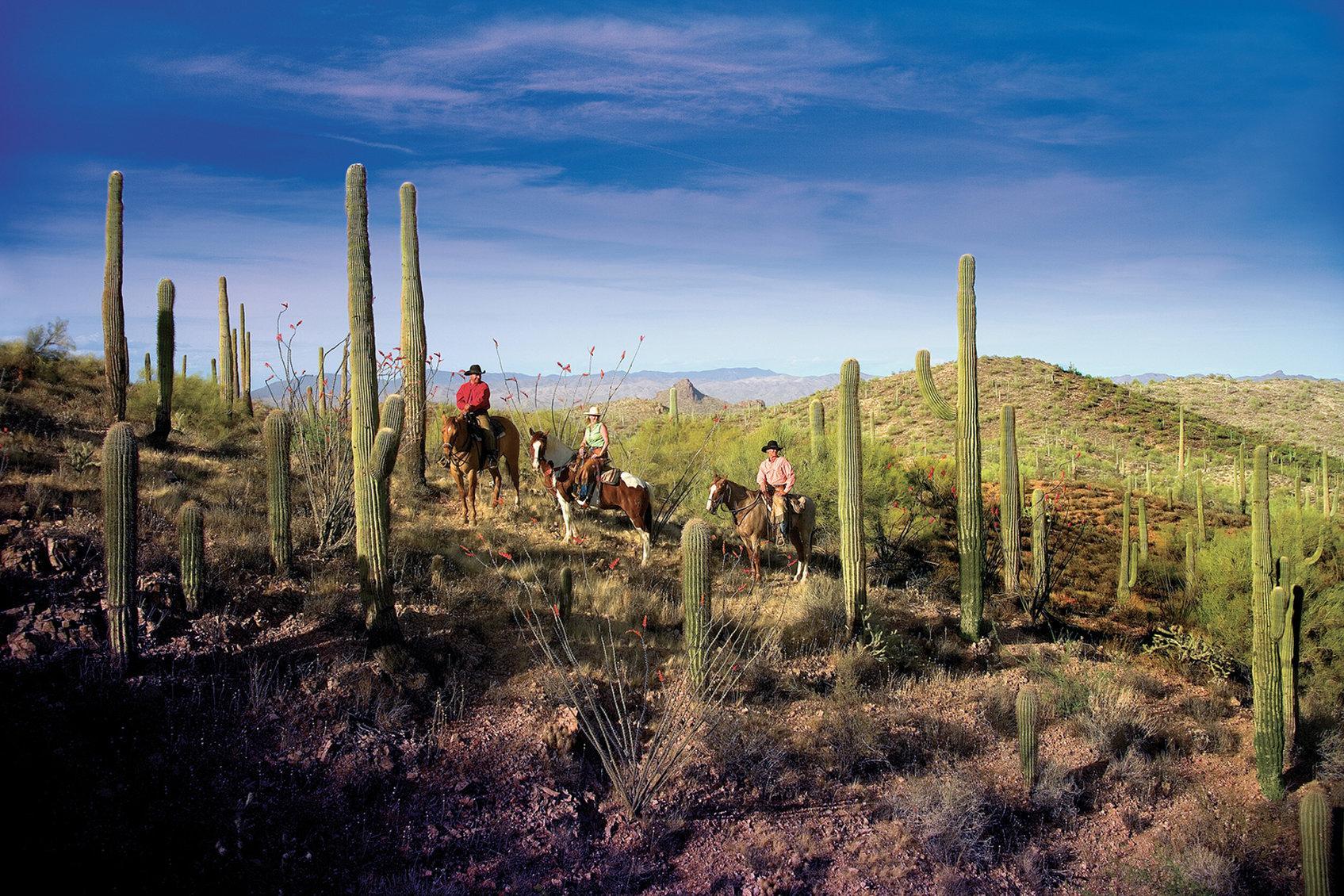 Rancho De Los Caballeros Wickenburg Exteriör bild